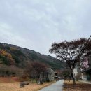 만해마을위 이미지