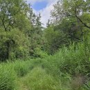 계정1리마을회관 이미지