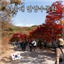 예술공원 수목원 입구 공중화장실 | 안양 예술공원 서울대 관악수목원 개방 25년 11월 단풍 실시간 가는법 주차 정보