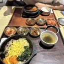 도톤보리 | 오사카 3박 4일 자유여행 1일차｜간사이공항 라피트→난바역→신세카이→도톤보리 후기