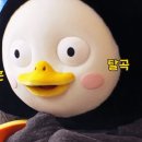 손곡중학교 이미지