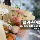앨리스의문 | [경남/양산]증산꽃집 '앨리스의뜰' 솔직 후기