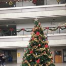 (주)이화투어
