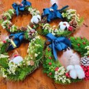 강원체육중학교 이미지