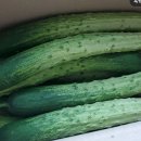 동천안농업협동조합로컬푸드직매장 이미지