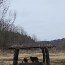 NR-47[금강로]-상-185 | [서천국립생태원] 에코리움/5대기후관/전기차 후기