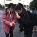 동백민박 이미지