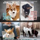 두림농장 이미지