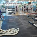 웰브릿지 스포츠 이미지