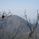 봄처녀는 잰걸음으로 앞서가고! - 울산시 남구 삼호산(125m)에서 울주군 남암산(544.4m)까지 이미지