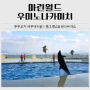 후쿠오카 아쿠아리움 마린월드 우미노나카미치｜돌고래쇼 후기 유모차 대여 정보