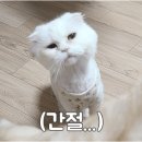 소망편의점 이미지