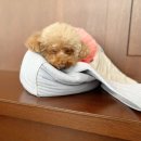 와이즈랩 이미지