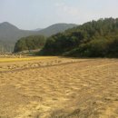 시골길펜션 이미지