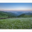 육백마지기 이미지