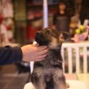 강인한농장 이미지