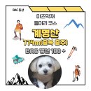 마즈막재 | BAC 명산 100+ 계명산 최단코스(마즈막재 코스) 충주