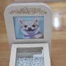 해피펫 | 전주동물장례식장 끝까지 도와주는 해피펫