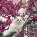삼풍미용실 - 사하구 장림로184번길 21 | 삼풍미용실