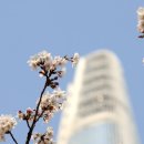 시노래 페스티벌 이미지