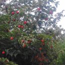 청주스크랩 이미지