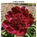 신동공업부분정비 | [결혼준비] 수원꽃집 봉주르플라워 | 웨딩촬영 생화부케 덕분에 대만족한 웨촬후기