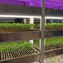 호정타워 이미지