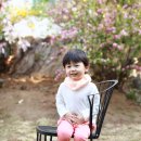 하이맘스튜디오 이미지