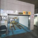 동양라디안루키 이미지