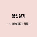 강서리 | [임신일기] 15주차까지의 기록