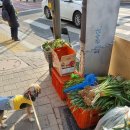 토속콩사랑