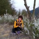 마치산공원 이미지