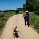 해파랑길(제27구간) 이미지