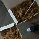 미미타코야끼 이미지