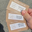 슈즈핸드워시 | 영덕 오션뷰 숙소 추천｜파나크 오퍼레이티드 바이 소노 호텔 솔직후기 (+ 영덕대게축제)