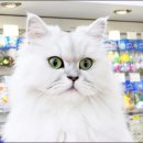 폴리파크 역삼점 이미지