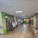 둥지유치원 | [공지] 5세아이면 어린이집, 유치원 어디로 보내는게 맞을까?