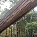 문수실내수영장 옥외화장실 | 서울 호캉스 추천 &#39;안토&#39; 리조트 팀버 주니어 솔직 후기 (+이용 꿀팁, 생일 이벤트 방법)