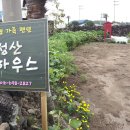 성산풀하우스 Daum카페