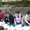 반월 초등학교 이미지