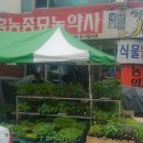 흥농종묘농약사 이미지