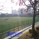 삼산월드체육관 농구장 이미지