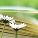 소정빌딩 이미지