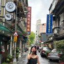 죽촌길 | 4박 5일] 3일차 일정 : 중산 카페거리, 보보상점, 진천미 오픈런, 죽촌 이자카야 포토존(타이베이 101)