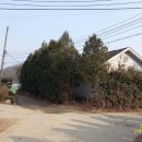 운담미르 이미지