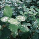 에코환경 이미지