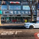 제주도야지 이미지