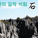 쿤밍 이미지
