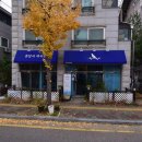 미래체육관 | [내돈내산] 김포 종달새체육관 소개 및 후기 (현재 22회차)
