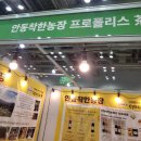 [부산] 2026 부산 차·공예 박람회 후기